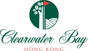 Colour Logo embroidery 2 PNG 300x173