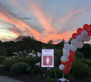 IMG 4401 copy 1 300x270