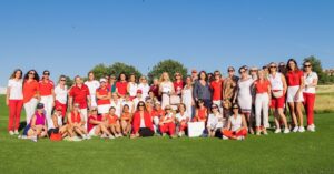 wgd image 1 1 3 300x157