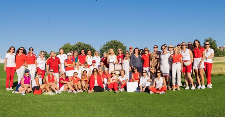 wgd image 1 1 3 768x401