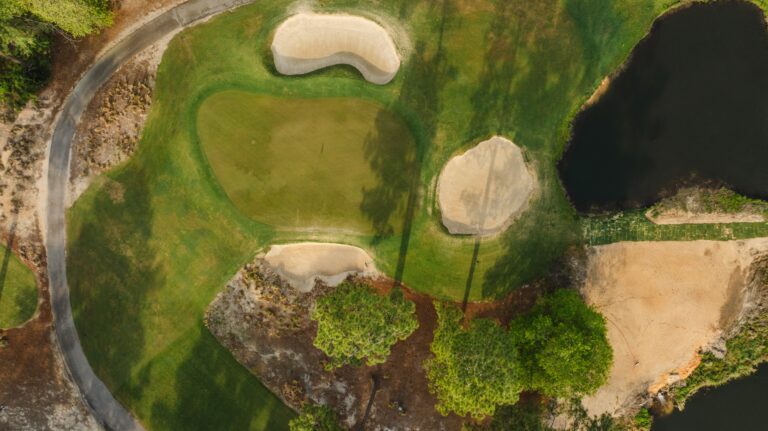 PineNeedles 173 768x431