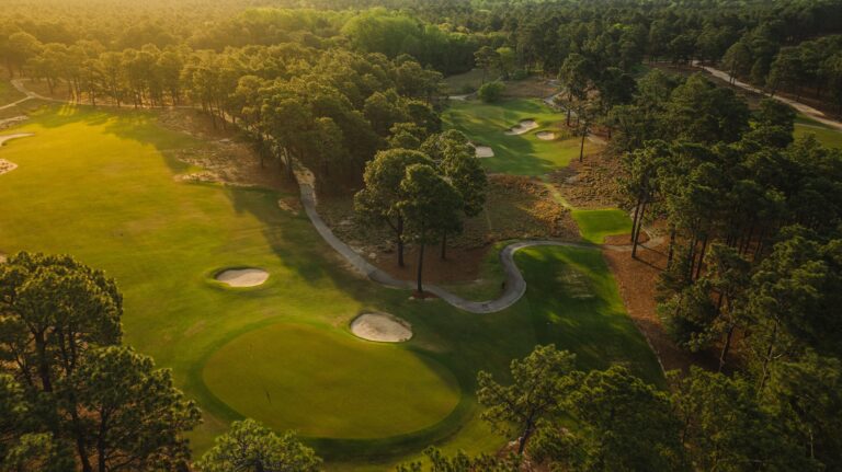 PineNeedles 87 768x431